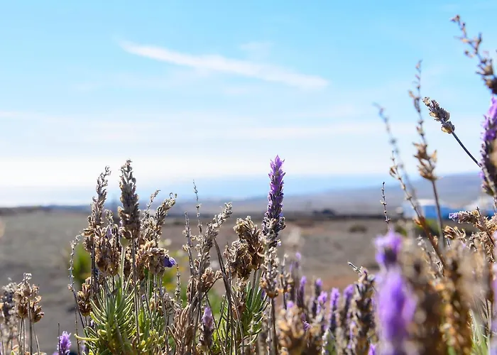 Lejlighed Casa Amanecer Tías